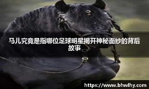 马儿究竟是指哪位足球明星揭开神秘面纱的背后故事