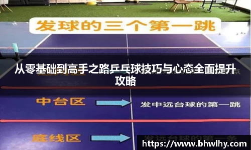 从零基础到高手之路乒乓球技巧与心态全面提升攻略